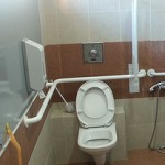 grab-bars-toilet